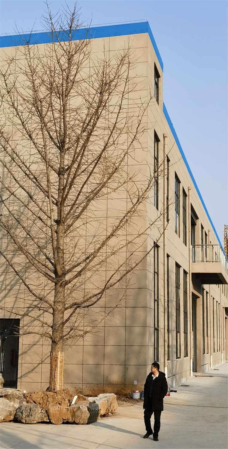 1673596776127068.jpg 101.jpg